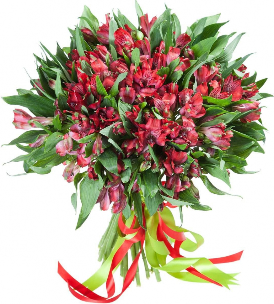 Красные альстромерии